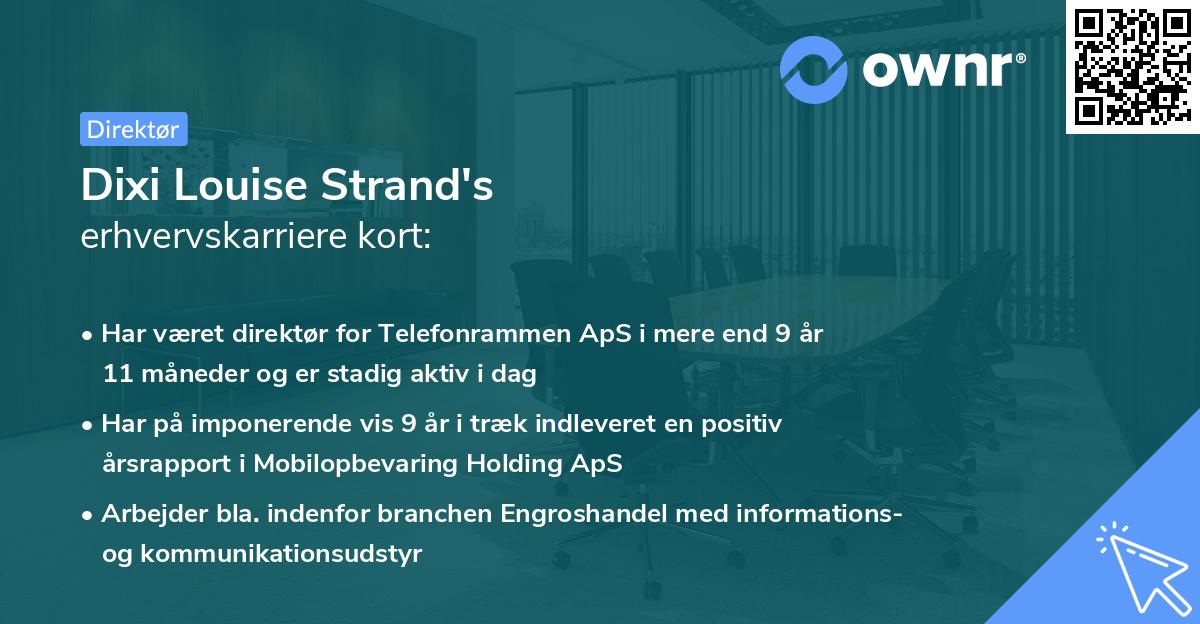 Dixi Louise Strand's erhvervskarriere kort