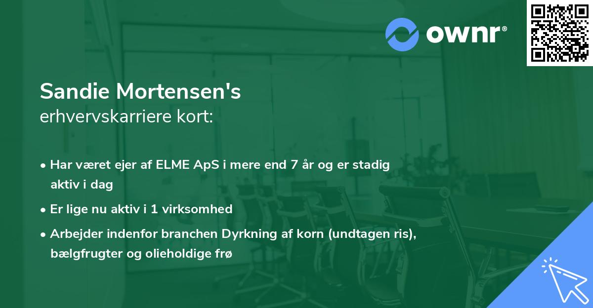 Sandie Mortensen's erhvervskarriere kort