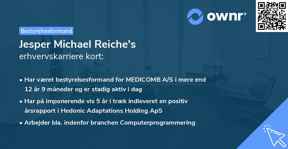 Jesper Michael Reiche's erhvervskarriere kort