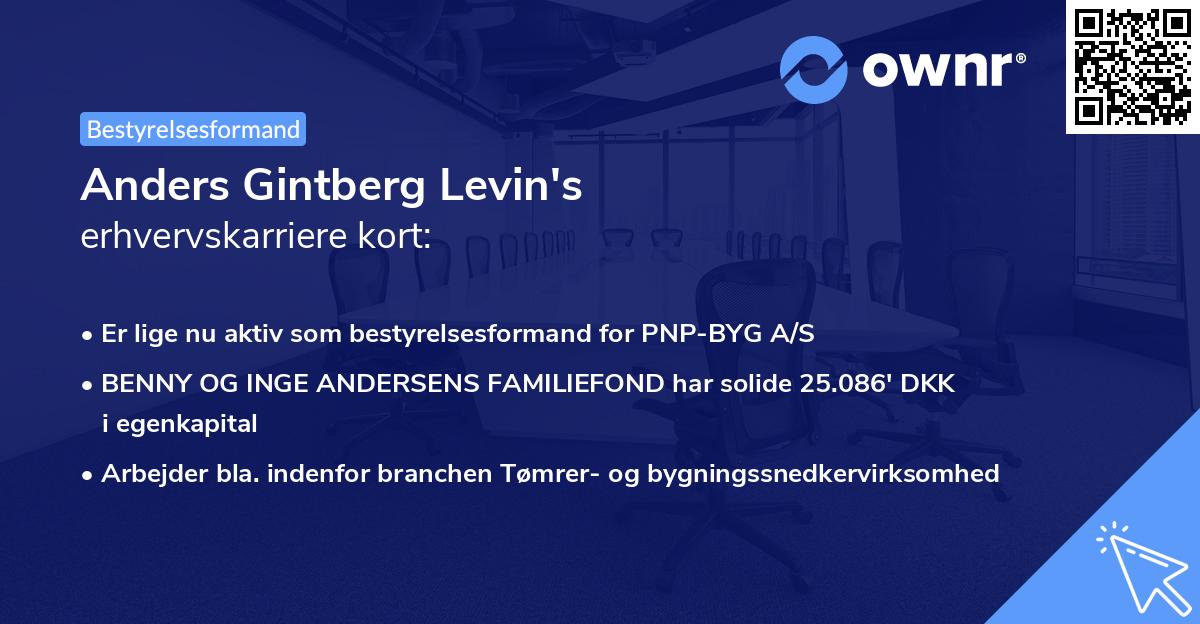 Anders Gintberg Levin's erhvervskarriere kort