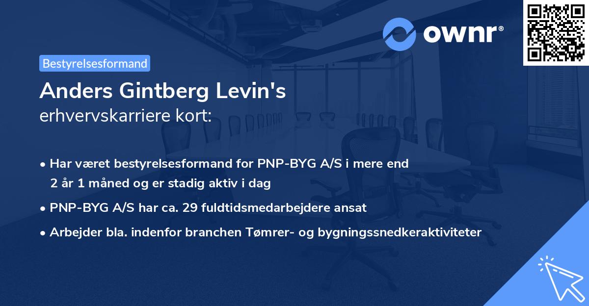Anders Gintberg Levin's erhvervskarriere kort