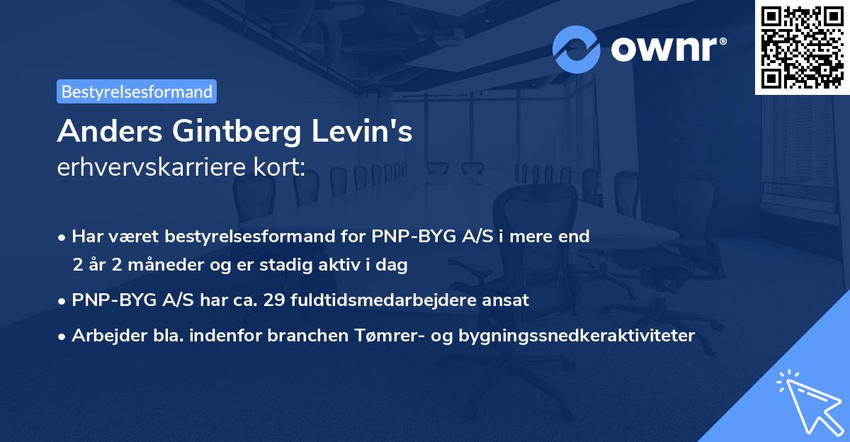 Anders Gintberg Levin's erhvervskarriere kort