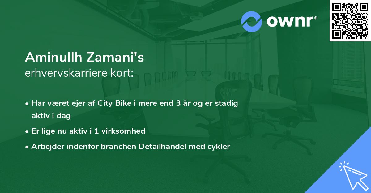 Aminullh Zamani's erhvervskarriere kort