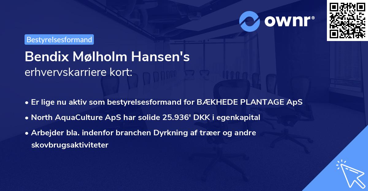 Bendix Mølholm Hansen's erhvervskarriere kort