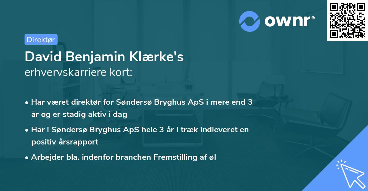David Benjamin Klærke's erhvervskarriere kort