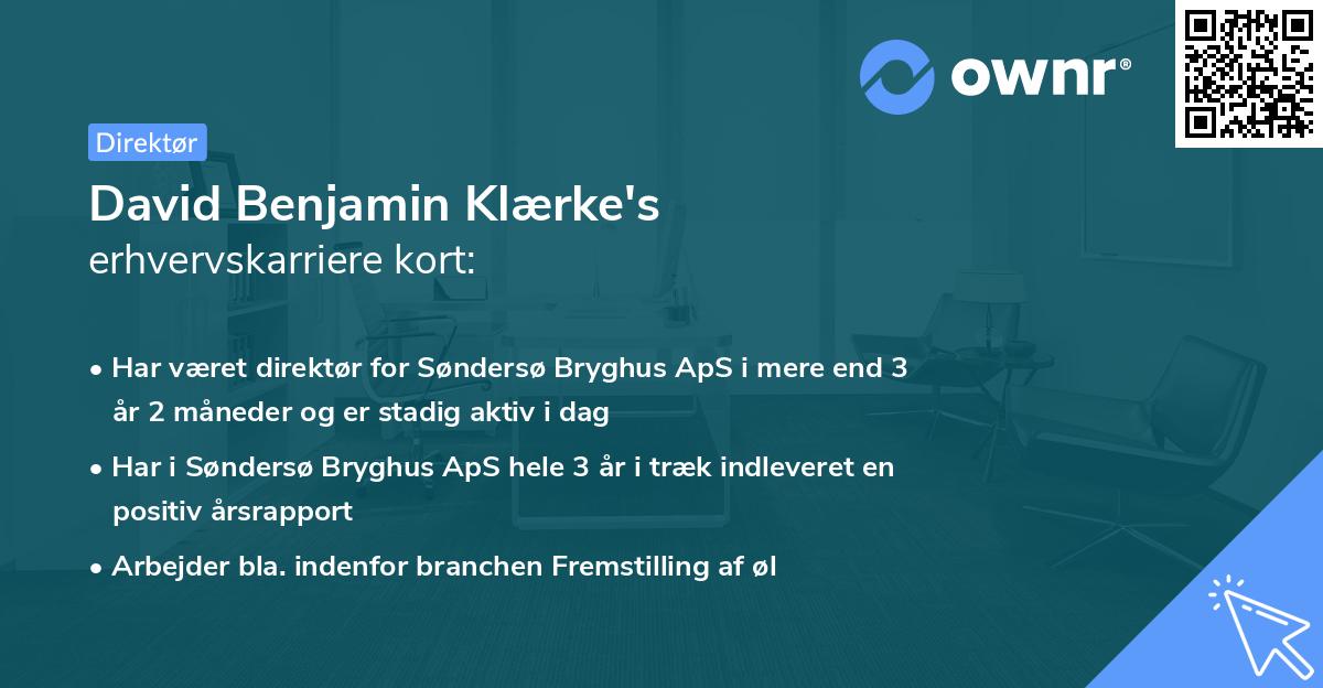 David Benjamin Klærke's erhvervskarriere kort