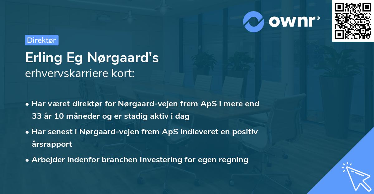 Erling Eg Nørgaard's erhvervskarriere kort