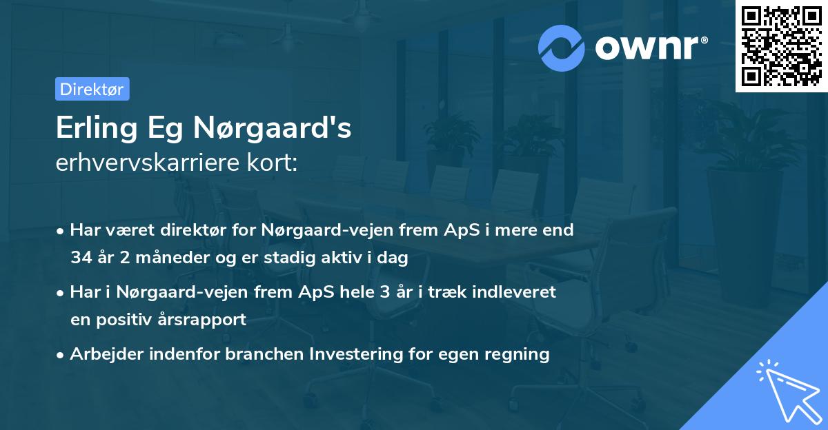 Erling Eg Nørgaard's erhvervskarriere kort