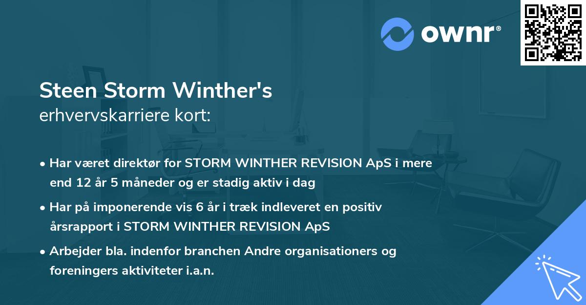 Steen Storm Winther's erhvervskarriere kort