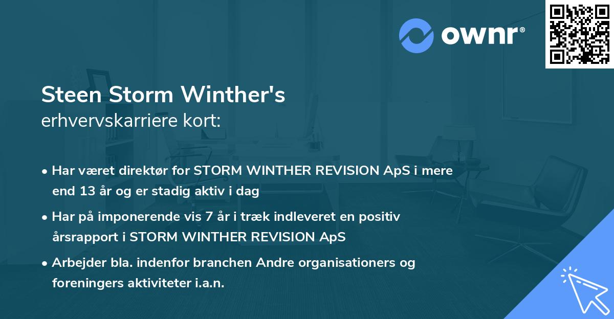 Steen Storm Winther's erhvervskarriere kort