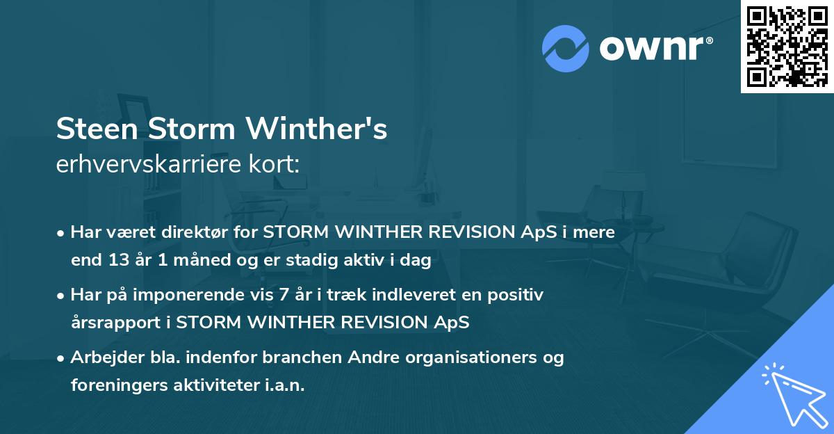 Steen Storm Winther's erhvervskarriere kort