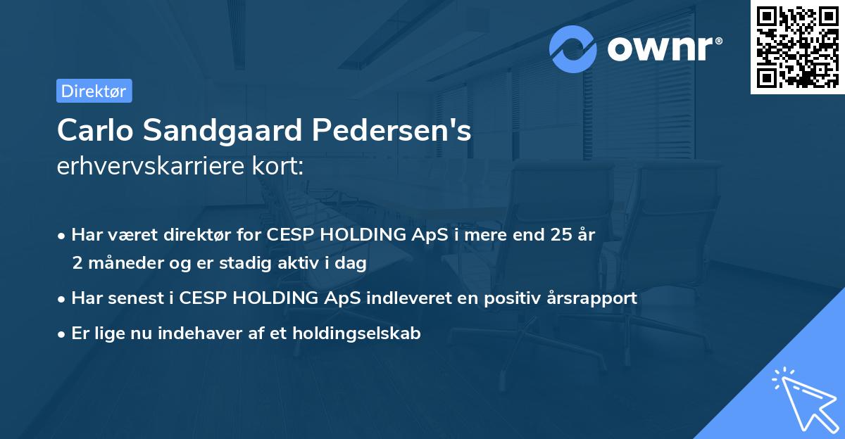 Carlo Sandgaard Pedersen's erhvervskarriere kort