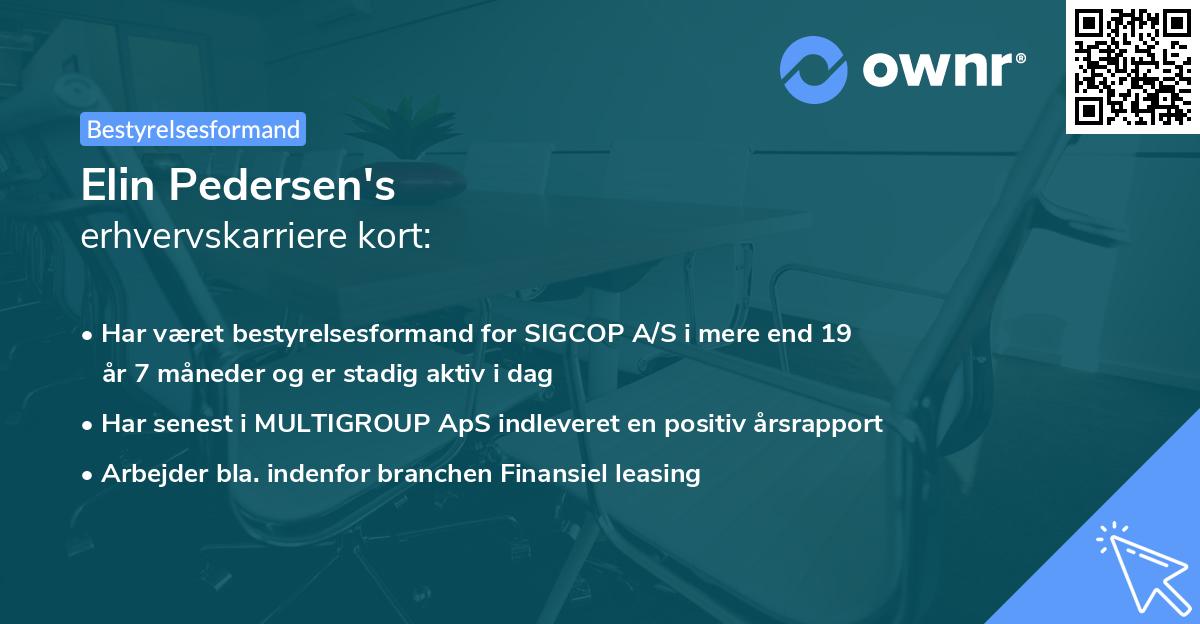 Elin Pedersen's erhvervskarriere kort