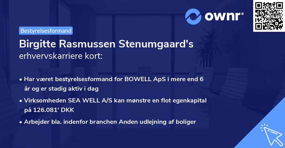Birgitte Rasmussen Stenumgaard's erhvervskarriere kort