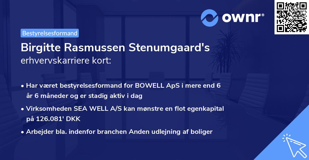 Birgitte Rasmussen Stenumgaard's erhvervskarriere kort