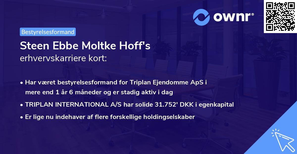 Steen Ebbe Moltke Hoff's erhvervskarriere kort