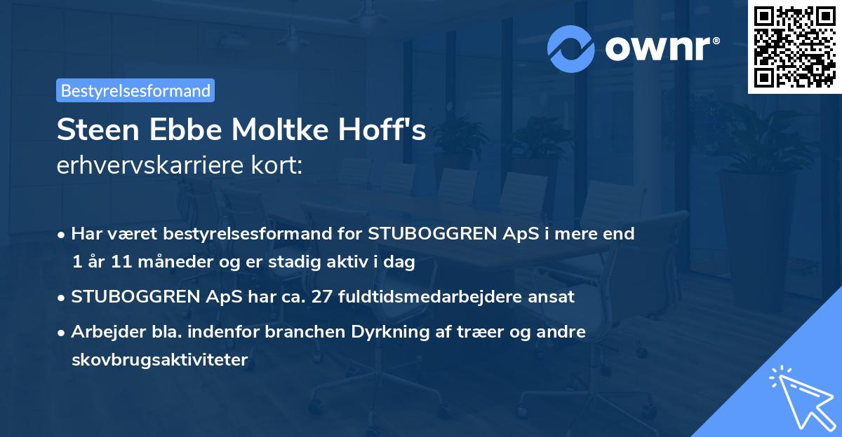 Steen Ebbe Moltke Hoff's erhvervskarriere kort