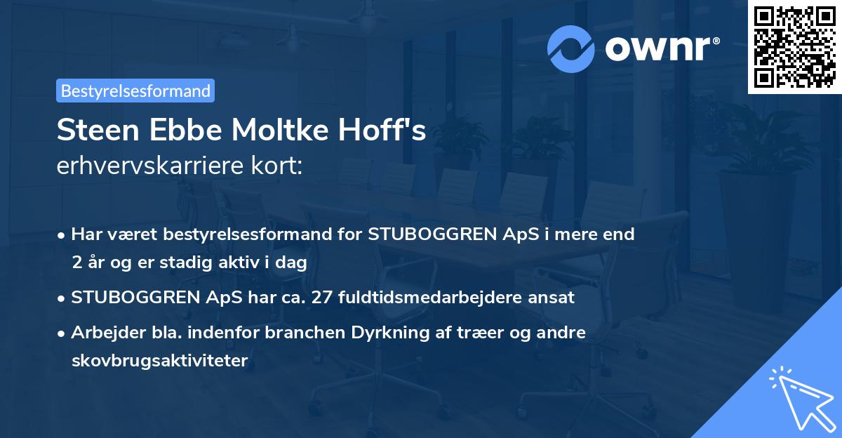 Steen Ebbe Moltke Hoff's erhvervskarriere kort