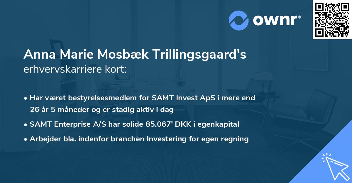 Anna Marie Mosbæk Trillingsgaard's erhvervskarriere kort