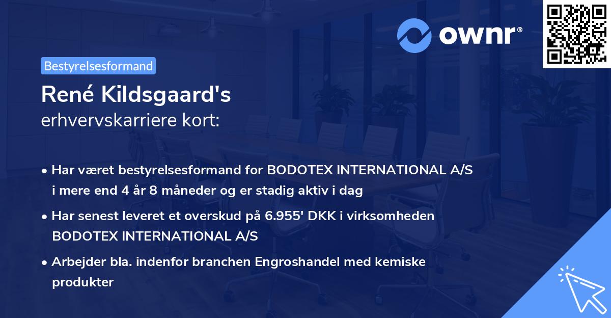 René Kildsgaard's erhvervskarriere kort