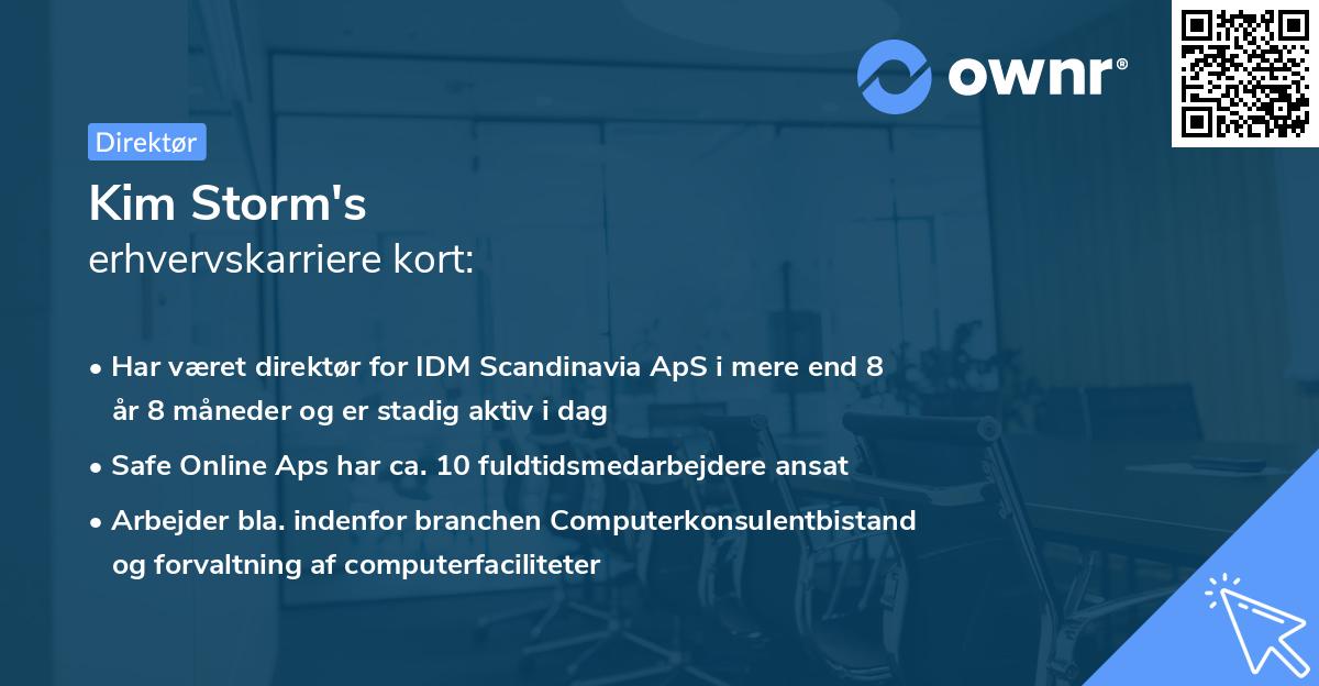 Kim Storm's erhvervskarriere kort