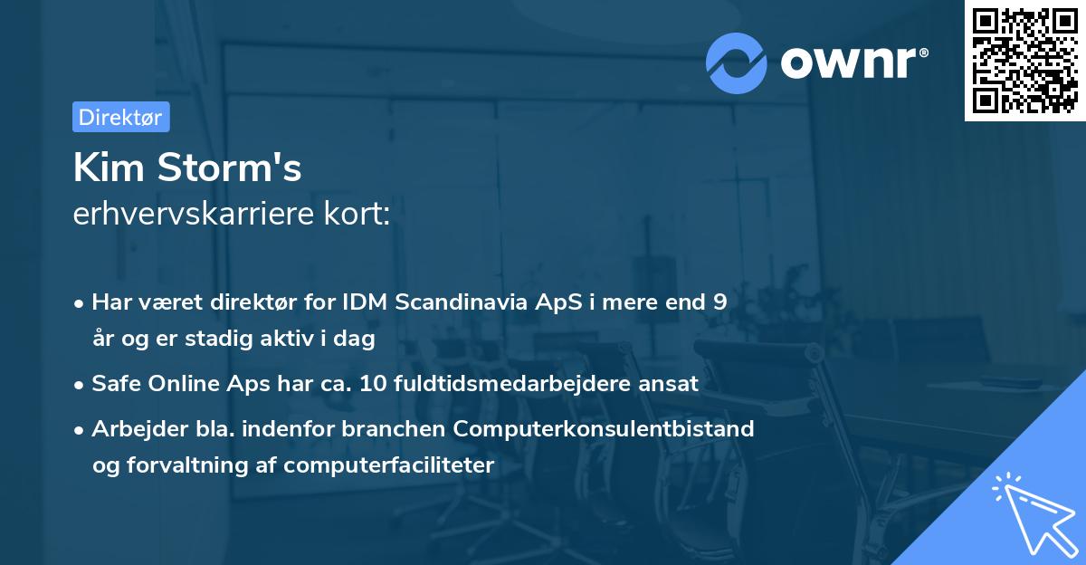 Kim Storm's erhvervskarriere kort