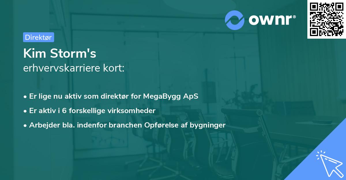 Kim Storm's erhvervskarriere kort