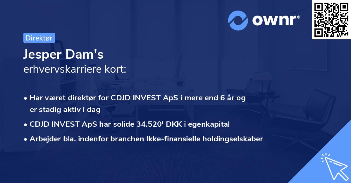 Jesper Dam's erhvervskarriere kort