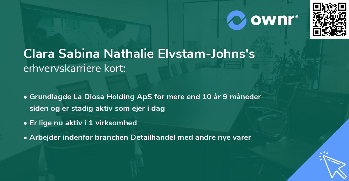 Clara Sabina Nathalie Elvstam-Johns's erhvervskarriere kort