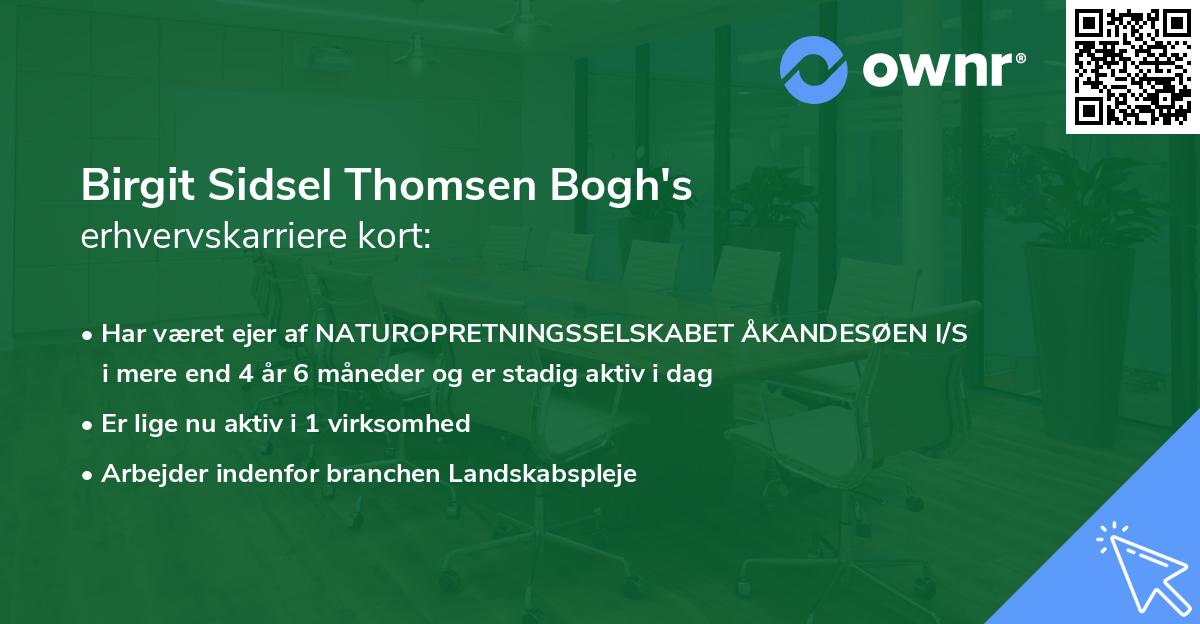 Birgit Sidsel Thomsen Bogh's erhvervskarriere kort