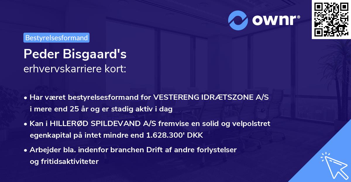Peder Bisgaard's erhvervskarriere kort