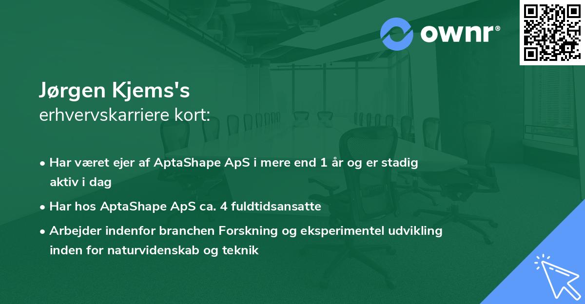 Jørgen Kjems's erhvervskarriere kort