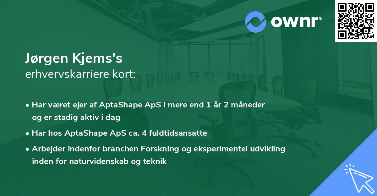 Jørgen Kjems's erhvervskarriere kort