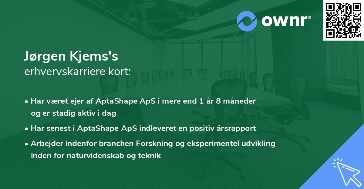 Jørgen Kjems's erhvervskarriere kort