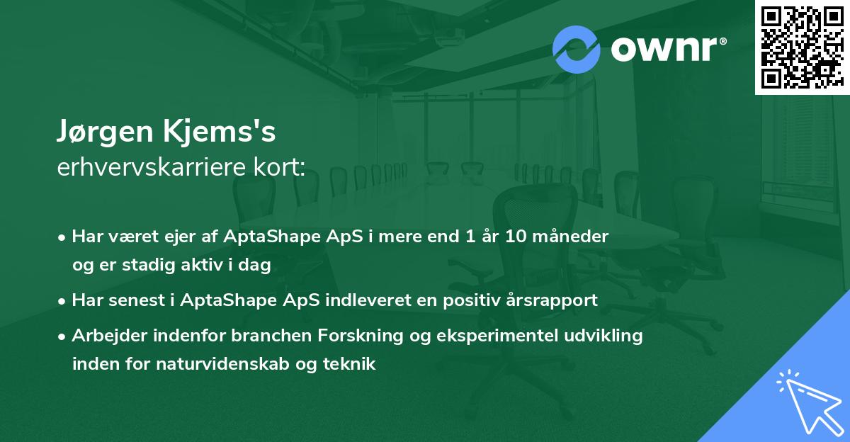Jørgen Kjems's erhvervskarriere kort