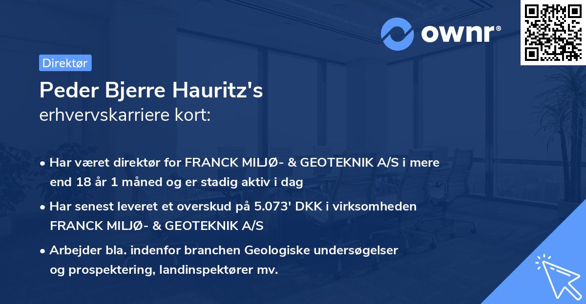 Peder Bjerre Hauritz's erhvervskarriere kort