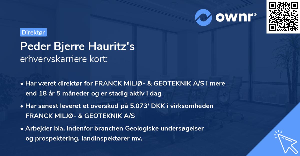 Peder Bjerre Hauritz's erhvervskarriere kort