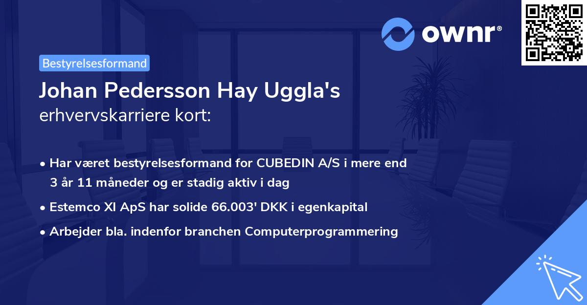 Johan Pedersson Hay Uggla's erhvervskarriere kort