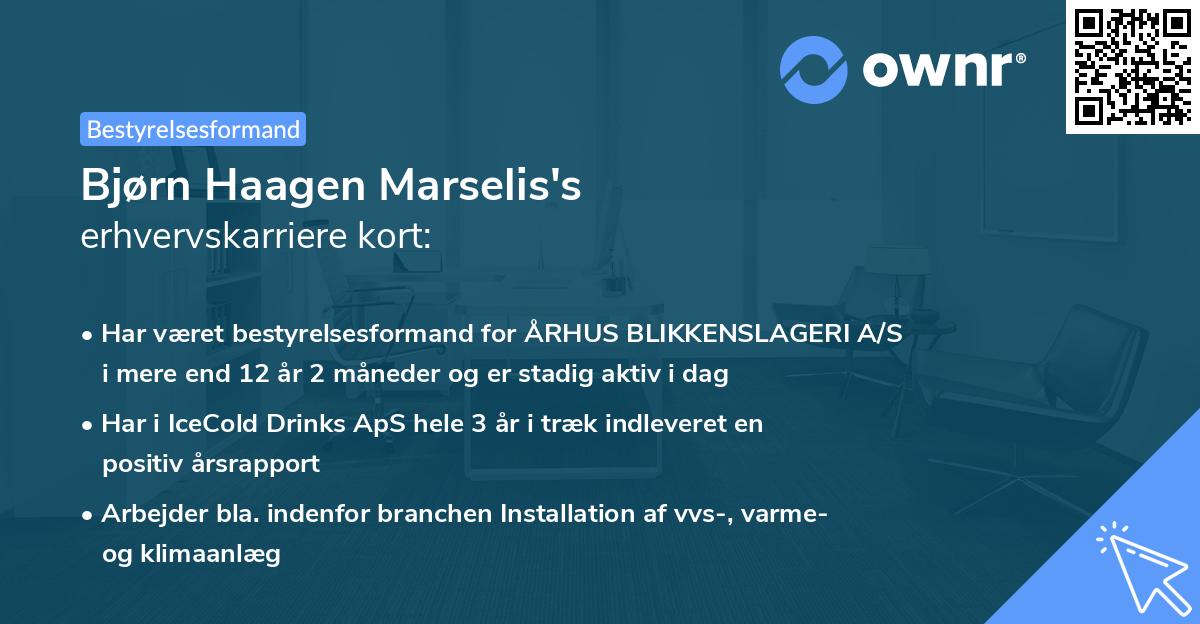 Bjørn Haagen Marselis's erhvervskarriere kort