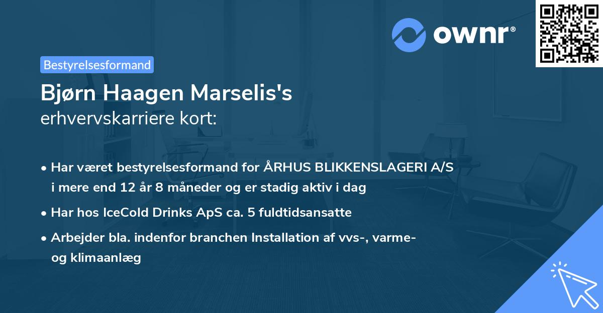 Bjørn Haagen Marselis's erhvervskarriere kort