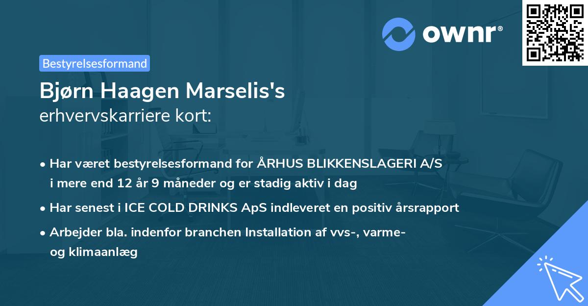 Bjørn Haagen Marselis's erhvervskarriere kort