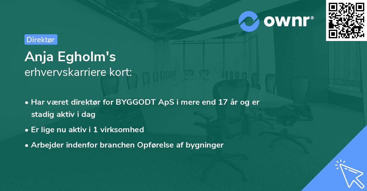 Anja Egholm's erhvervskarriere kort