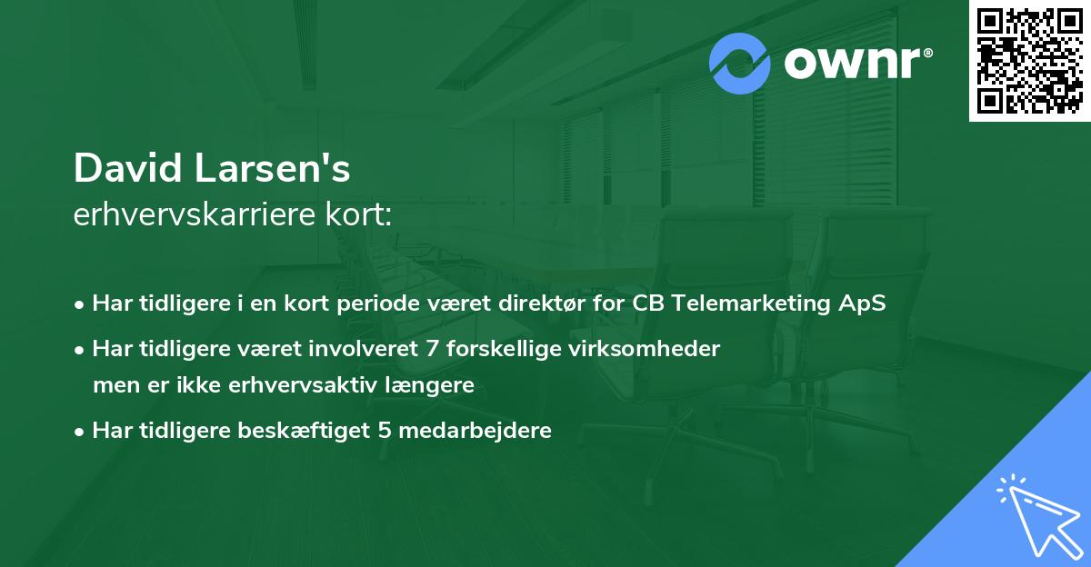 David Larsen's erhvervskarriere kort