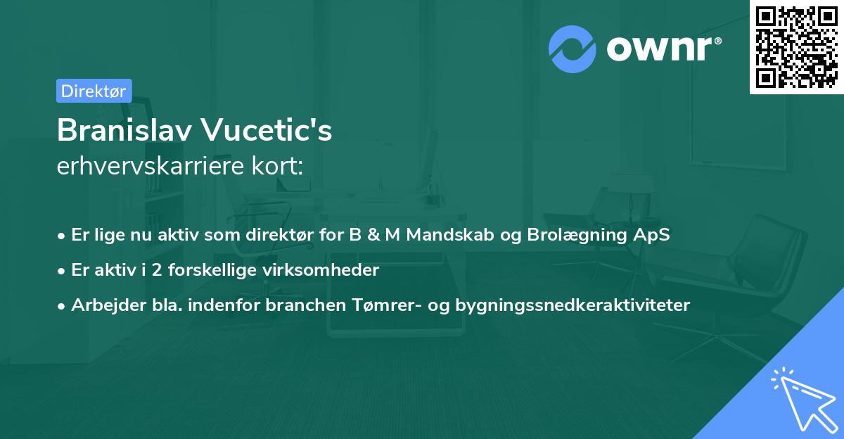 Branislav Vucetic's erhvervskarriere kort