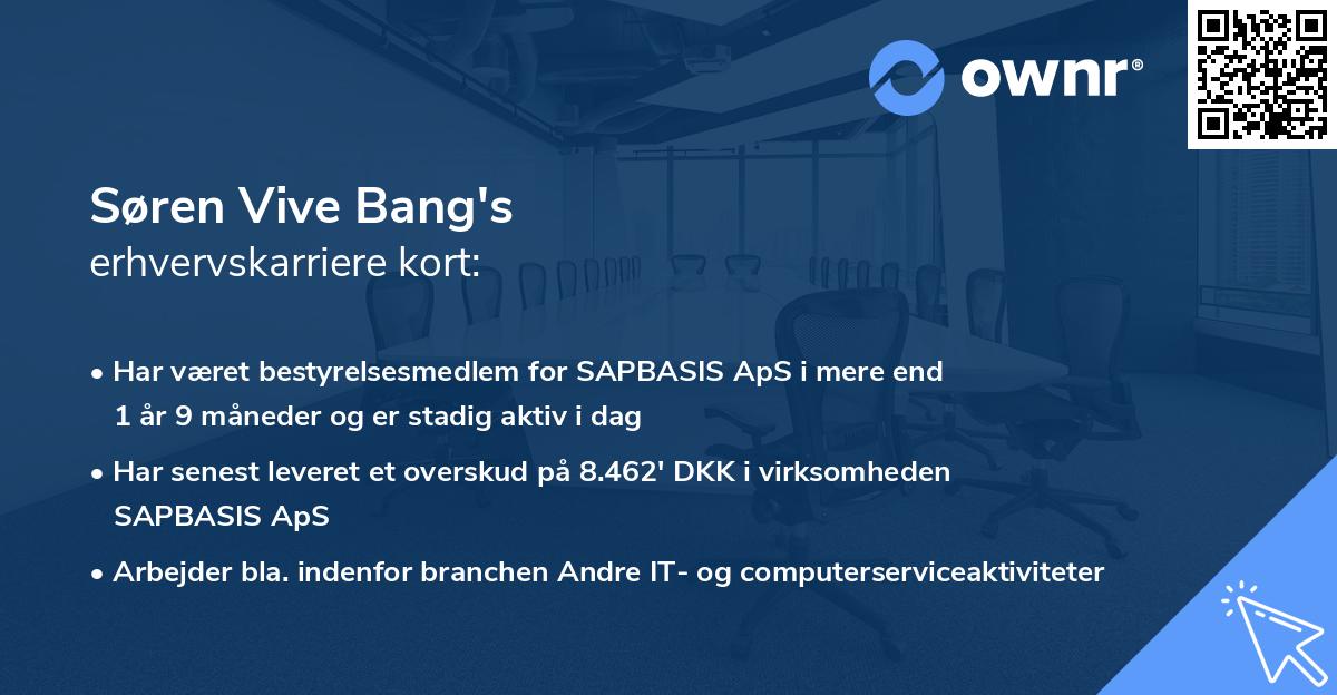 Søren Vive Bang's erhvervskarriere kort