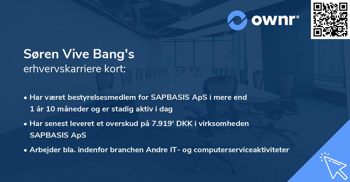 Søren Vive Bang's erhvervskarriere kort