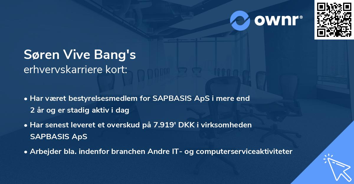 Søren Vive Bang's erhvervskarriere kort