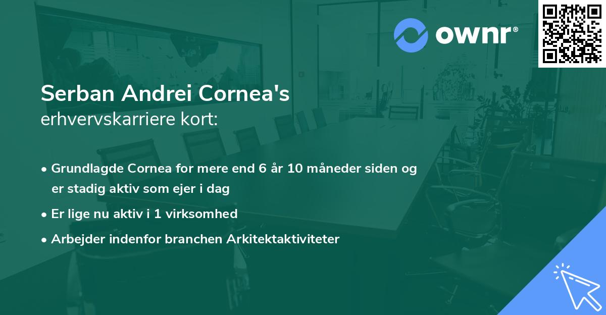 Serban Andrei Cornea's erhvervskarriere kort