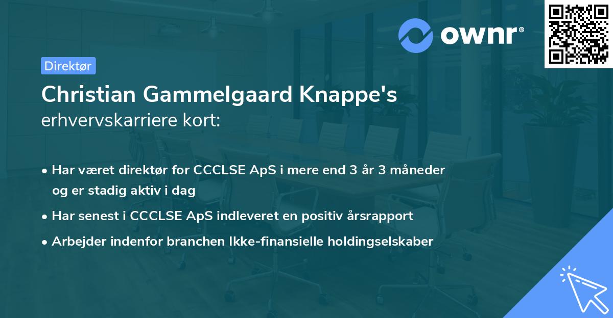 Christian Gammelgaard Knappe's erhvervskarriere kort