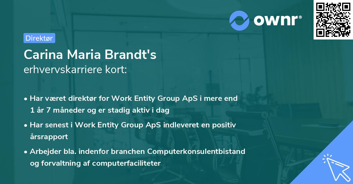 Carina Maria Brandt's erhvervskarriere kort